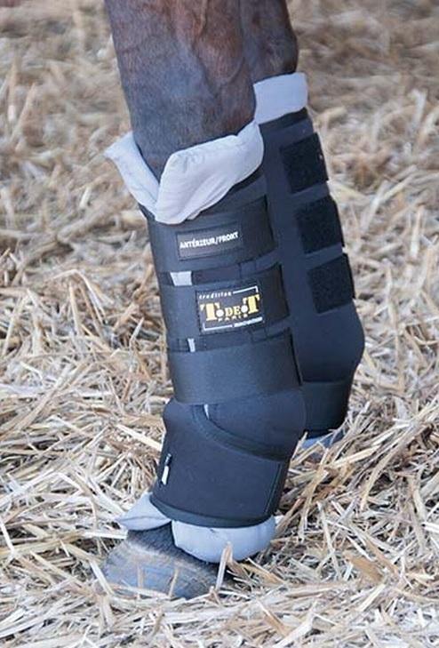 TdeT Stable Boots - SHOP HORSE